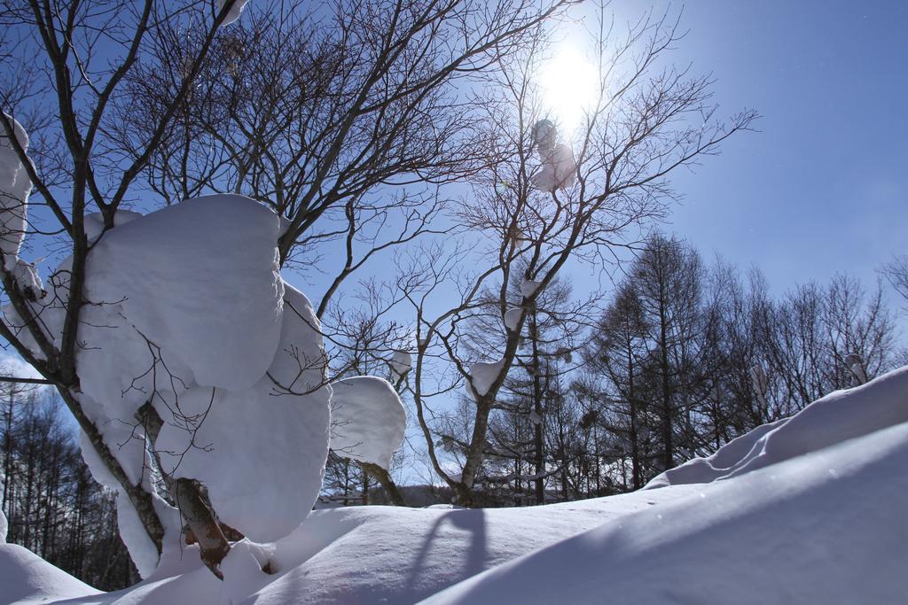 Niseko Freedom Inn Kutchan Rum bild